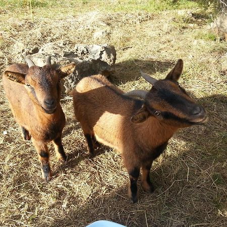 Vagnas Camping Parc Saint Sauvayre מראה חיצוני תמונה