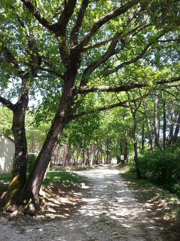 Vagnas Camping Parc Saint Sauvayre מראה חיצוני תמונה